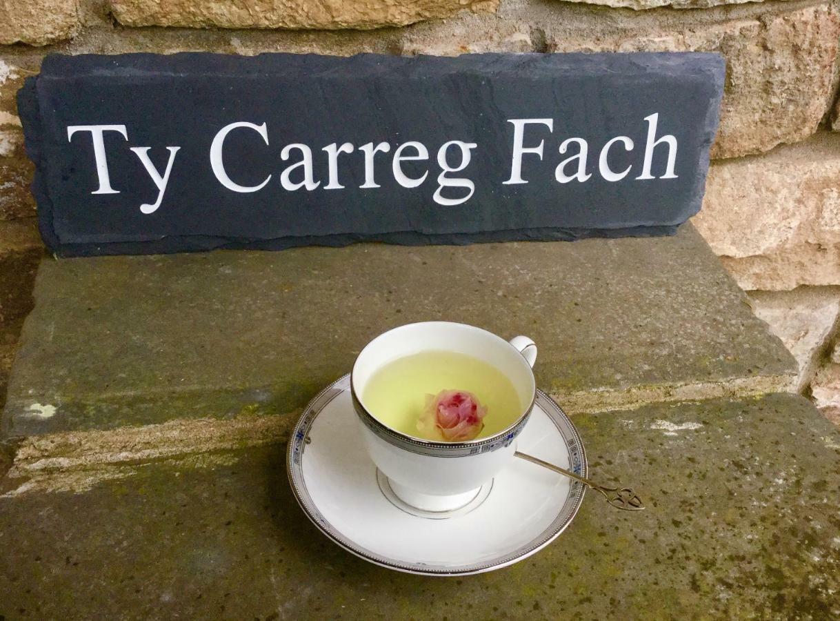 Ty Carreg Fach Staycation Cottage Кардіфф Екстер'єр фото