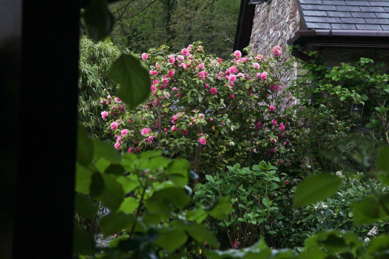 Ty Carreg Fach Staycation Cottage Кардіфф Екстер'єр фото